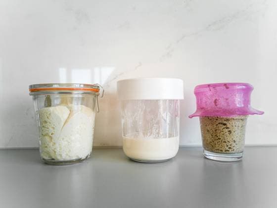Three jars with different types of sourdough bread on table in kitchen Vilnius, Vilnius County, Lithuania R_EDSAHG210708-791070-01