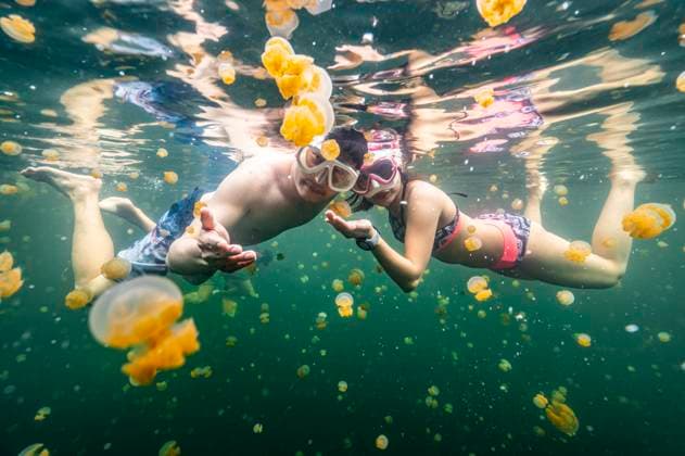 Creative Highlights Symbolbilder couple diving into the jellyfish lake in Raja Ampat Sorong, West Papua, Indonesia CR_THHE241028I-1420678-01 ,model released, Symbolfoto