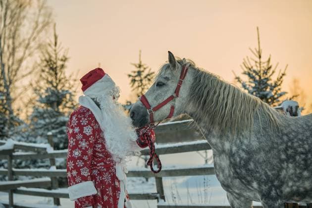 Creative Highlights Symbolbilder Santa Claus in holds a dappled gray horse against snowy forest Mozhaysk, Moscow Oblast, Russia R_HFQU241023B-1569262-01 ,model released, Symbolfoto