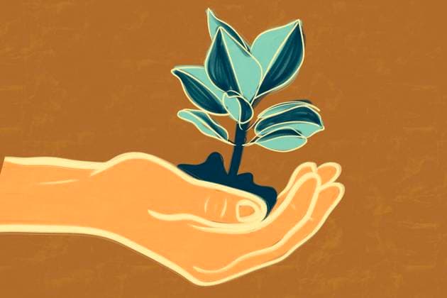 Illustration of a human hand cradling a small plant growing from the soil, symbolizing care and growth with a focus on renewable energy and sustainability. The artwork uses soothing earth tones. Model Released HodeiUnzueta_ID24955_723022_006 Copyright: xHodeixUnzuetax RECORD DATE NOT STATED
