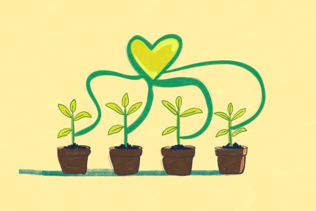 Illustration of four young green plants in brown pots lined up, connected by a winding green stem forming a heart shape, symbolizing love for renewable energy and sustainable growth. Model Released HodeiUnzueta_ID24955_723029_009 Copyright: xHodeixUnzuetax RECORD DATE NOT STATED