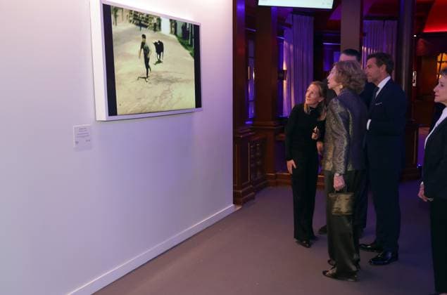 XXXIX edition of the BMW Painting Prize Queen Sofia presents the BMW Painting Prize in its XXXIX edition at the Teatro Real, on November 18, 2024, in Madrid Spain PREMIOS GENTE PINTURA José Ramó Madrid Madrid Madrid Spain  Copyright: xJosÃ xRamonxHernandox 6349634