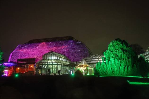 News Themen der Woche KW47 News Bilder des Tages Illuminierte Grosse Tropenhalle im Christmas Garden im Botanischen Garten in Berlin (Foto vom 19.11.2024). Die Besucher erwartet eine Maerchenwelt auf einem zwei Kilometer langen Rundweg. 30 Installationen sind auf dem Spaziergang zu entdecken, jede ein eigenes kleines Kunstwerk, das in Szene gesetzt wurde. Vom 20. November bis 12. Januar ist der Christmas Garden geoeffnet. EDITORIAL USE ONLY *** Illuminated Great Tropical Hall in the Christmas Garden in the Botanical Garden in Berlin Photo from 19 11 2024 Visitors can expect a fairytale world on a two-kilometre circular route 30 installations can be discovered on the walk, each a small work of art in its own right that has been staged The Christmas Garden is open from 20 November to 12 J Copyright: epd-bild JuergenxBlume 00J241119D229Blume