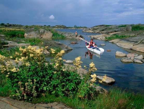 Man In Kayak. (Man paddlar kajak i skärgard) NAT x8035x *** Man In Kayak Man paddling a kayak in the archipelago NAT x8035x  Copyright: xClaesxGrundstenx xBildhusetx xTTx Bildhuset TT