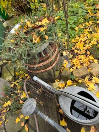 Herbst im romantischen Garten *** Autumn at romantic Garden 1088818663