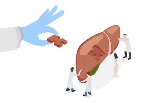 3D Isometrische flache konzeptionelle Illustration der Lebertransplantation, Spende Organe<br>3D Isometrische flache konzeptionelle Illustration der Lebertransplantation, Organspende 3D Isometric Flat Conceptual Illustration of Liver Transplantation, Donation Organs 3D Isometric Flat Conceptual Illustration of Liver Transplantation, Donation Organs Copyright: xZoonar.com AnastasiiaxTorianykx 22295934