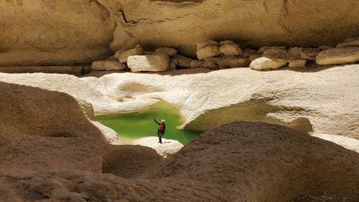 Creative Highlights Symbolbilder A person standing in a rocky desert canyon with a small green water pool, under bright sunlight. 26002884 ,model released, Symbolfoto RECORD DATE NOT STATED