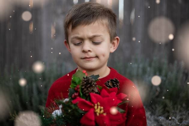 Creative Highlights Symbolbilder Young boy holding festive poinsettia arrangement outdoors Norman, Oklahoma, United States CR_AOVS241125A-1580023-01 ,model released, Symbolfoto