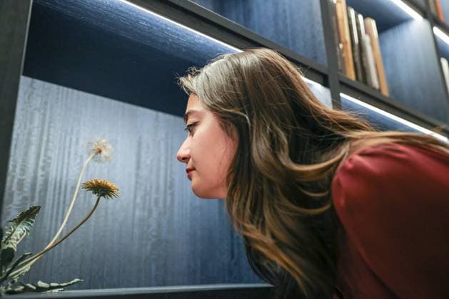 Bilder des Jahres 2024, Entertainment 11 November News Bilder des Tages Stuart Lochhead Sculpture opens new gallery with Second Nature exhibition in London, UK London, UK, 28th Nov 2024. Staff with Dandelion Circle by Shota Suzuki, where the intricately sculptured dandelion appears to grow out of a bookshelf. Stuart Lochhead Sculpture launch their new gallery in London s Old Bond Street, open from Saturday 30th November 2024. The Second Nature exhibition is showcasing work by Kyoto-based contemporary artists Shota Suzuki and Satomi Den, as well as the launch exhibition complements the Japanese heritage inspired architecture of the new space. Also on display are several classics masters sculptures and paintings., Credit:Avalon  Copyright: xAvalonx 0940853557