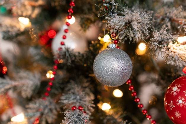 Sparkling Holiday Cheer on Display Minneapolis, Minnesota, United States R_WREL241201B-1589299-01