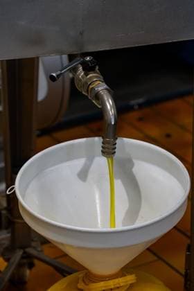 Filtered extra virgin olive oil is dispensed into a container after processing in an olive oil mill in Italy. Fara in Sabina Lazio Italy Copyright: xJonxG.xFullerx xVWPicsx 2270-JGF-industry-OliveProcessing-IT