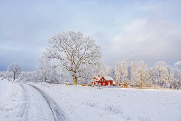 IMAGO Creative, Winter, Auf dem Land Glatte verschneite Landstraße an einem roten Haus in einer schönen Winterlandschaft mit Schnee und Raureif, Schweden, Europa Slippery snowy country road by a red house in a beautiful winter landscape with snow and rime frost, Sweden, Europe Copyright: imageBROKER LarsxJohansson ibxljo11896888.jpg