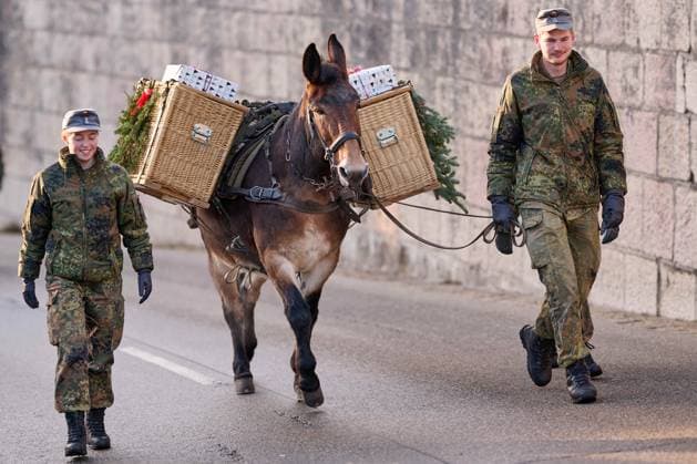 News Themen der Woche KW49 News Bilder des Tages Berchtesgaden, Deutschland 05. Dezember 2024: Nikolaus und Buttnmandllauf der Bundeswehr am 05.12.2024 Im Bild: Muli mit Geschenken in Tragekoerben Tragekörben Buttnmandl aus der Bundeswehrkaserne Strub bei Bischofswiesen. Dieses Jahr zum 62. Mal. Insgesamt sind es 12 Buttnmandl und 21 Engel mit Nikolaus und Knecht Ruprecht, Mulis und 2 Kutschen Kaserne Bischofswiesen Strub Bayern *** Berchtesgaden, Germany 05 December 2024 Santa Claus and Buttnmandl run of the Bundeswehr on 05 12 2024 In the picture mule with presents in carrying baskets Buttnmandl from the Bundeswehr barracks Strub near Bischofswiesen This year for the 62nd time there are a total of 12 Buttnmandl and 21 angels with Santa Claus and Knecht Ruprecht, mules and 2 carriages Copyright: xFotostandx xWassmuthx