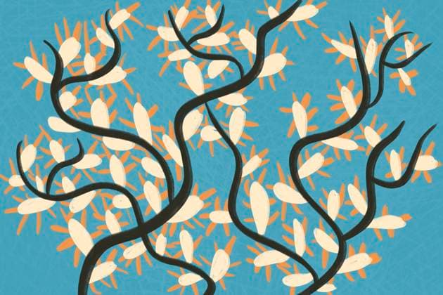 A vibrant abstract artwork featuring bold, curving branches intertwined with white floral shapes and orange accents set against a textured blue background, creating a dynamic pattern. Model Released HodeiUnzueta_ID25396_734092_008 Copyright: xHodeixUnzuetax RECORD DATE NOT STATED