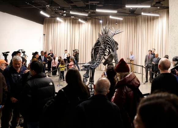 New York, Stegosaurus namens Apex im American Museum of Natural History A Stegosaurus fossil named Apex is revealed at a press preview at the American Museum of Natural History in New York City on Thursday, December 5, 2024. The fossil is on loan from billionaire Kenneth C. Griffin who purchased it in 2024 at auction from Sotheby s for $44.6 million making it the most expensive dinosaur fossil ever sold at auction.  NYP2024120505104 JOHNxANGELILLO