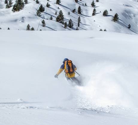 Creative Highlights Symbolbilder 783449156 MR_ID24894_18812_SergioLopez.jpg A skier wearing vibrant gear expertly navigates through fresh, untouched snow on a mountain slope, leaving behind a trail of powder Majestic trees dot the snowy backdrop Model Released Robcabphotography_ID24894_721481_005 Copyright: xRobcabphotographyx