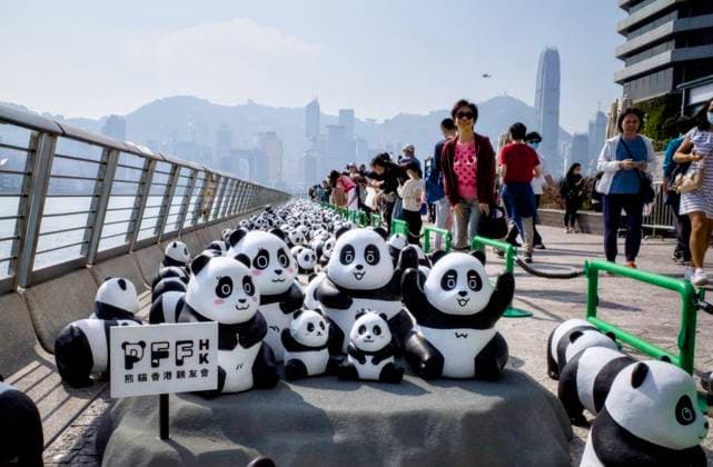 Bilder des Jahres 2024, News 12 Dezember News Themen der Woche KW49 HONG KONG, CHINA - DECEMBER 07: Thousands of giant panda sculptures are displayed at the Avenue of Stars in Tsim Sha Tsui as part of the PANDA GO! Fest Hong Kong Exhibition on December 7, 2024 in Hong Kong, China. The 2,500 giant panda sculptures will be publicly displayed at the Tsim Sha Tsui promenade today and tomorrow before setting their footprints at three other locations this month.  Copyright: xVCGx 111535183131