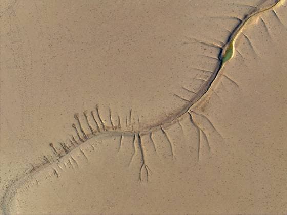 Creative Highlights World Tidal Tree A tidal tree in the shape of a dragon tail is seen on the Yellow Sea wetland in Yancheng, China, on December 8, 2024. Yancheng Jiangsu China  Copyright: xCFOTOx originalFilename: cfoto-tidaltre241209_npiKk.jpg