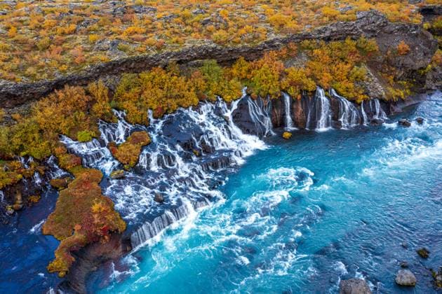Creative Highlights World Autumn waterfall with vibrant trees Iceland, Borgarbyggð, Borgarnes CR_EZDKCL241209B-1590939-01