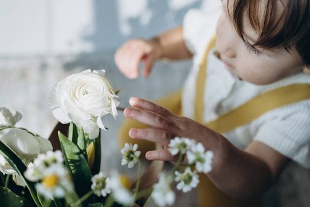 Creative Highlights Symbolfotos Baby trying to touch white flowers Shanghai, Shanghai, China CR_ITUP241209-1598796-01 ,model released, Symbolfoto