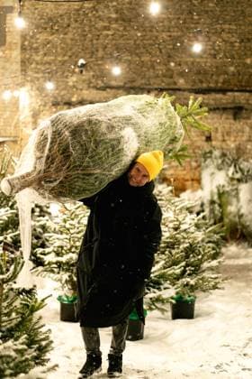 Man carrying Christmas tree on snow town Riga, Latvia CR_YUKI241213-1600143-01 ,model released, Symbolfoto