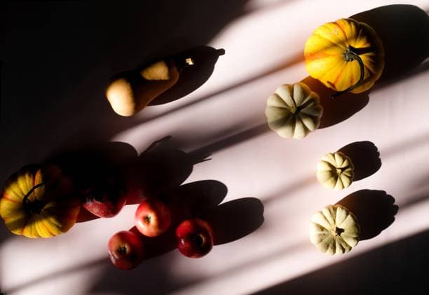 Side Lit Mini Pumpkins, Apples, and Squash on Light Purple Backdrop New York, New York, United States R_UTHC241217-1604648-01