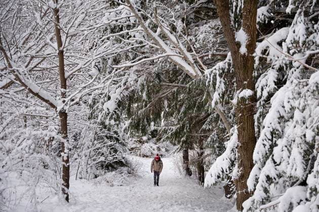 December 25, 2024, Halifax, Ns, Canada: A person walks through snow-covered trees in Needham Park following a winter storm in Halifax on Christmas Day, Wednesday, Dec. 25, 2024. Halifax Canada  - ZUMAc35_ 20241225_zaf_c35_015 Copyright: xDarrenxCalabresex