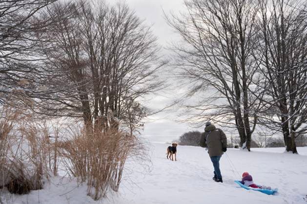 December 25, 2024, Halifax, Ns, Canada: A man pulls his daughter through snow on a sled in Needham Park following a winter storm in Halifax on Christmas Day, Wednesday, Dec. 25, 2024. Halifax Canada  - ZUMAc35_ 20241225_zaf_c35_016 Copyright: xDarrenxCalabresex