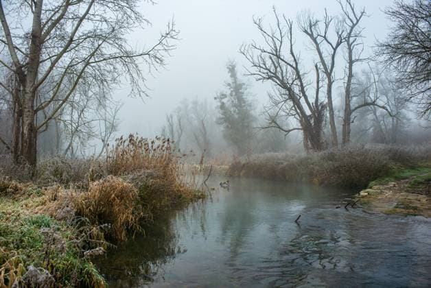 morning fog at the river mitterwasser in a riverside forest near the danube river in enns, upper austria *** morgennebel am fluss mitterwasser in einem auenwald nahe der donau in enns, oberösterreich Copyright: xW.Simlingerx