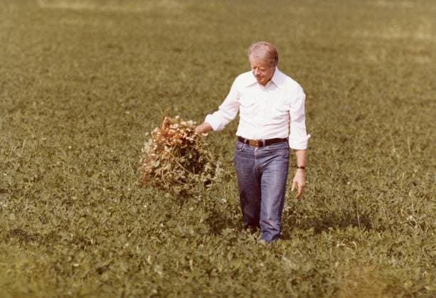 Archivbilder der Woche KW01 Aug 19, 1978 - Plains, Georgia, U.S. - U.S. President JIMMY CARTER in a Carter family peanut field. Carter is a former peanut farmer. . Plains U.S.  - ZUMAz03_ 19780819_jes_z03_503 Copyright: xCarterxArchivex