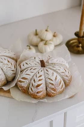 Sourdough Pumpkin Bread on White Background Winnipeg, Manitoba, Canada CR_TNJG241231D-1618197-01