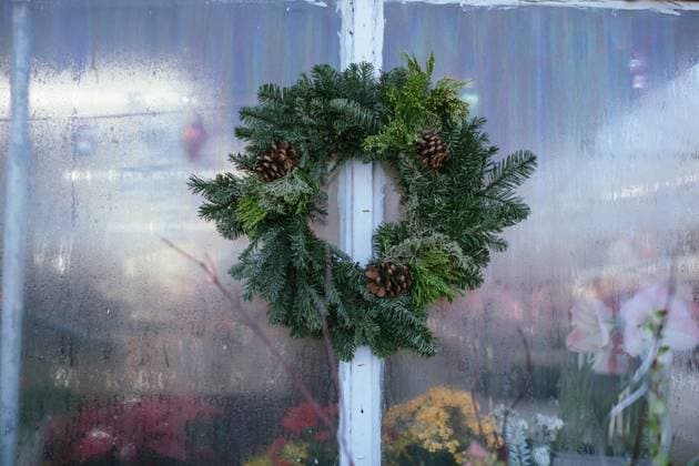 Festive evergreen wreath with pinecones on a foggy window Chicago, Illinois, United States R_AKAO241230-1609538-01