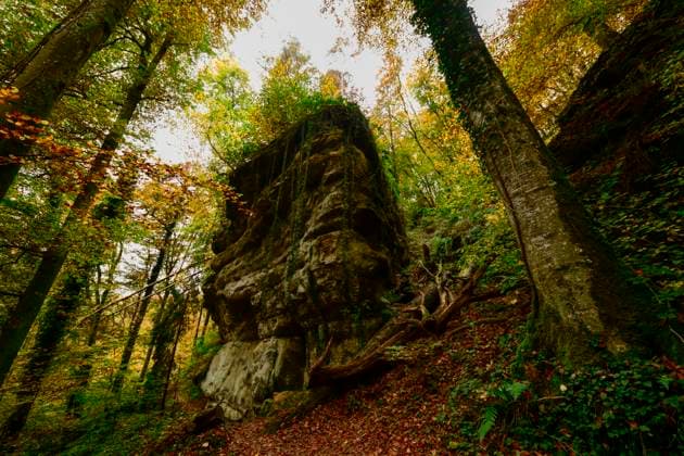 Creative Highlights World Wandern im Mullerthal Das romantische Mullerthal in Luxemburg. Fotografiert am 29.10..2024. Müllerthal Mullerthal Luxemburg _JK10598 *** Hiking in the Mullerthal The romantic Mullerthal in Luxembourg Photographed on 29 10 2024 Mullerthal Mullerthal Luxembourg JK10598