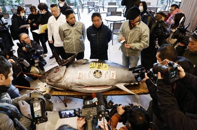 Bilder des Jahres 2025, News 01 Januar News Themen der Woche KW01 News Bilder des Tages Japan, Neujahrs-Thunfisch-Auktion in Tokio New Year tuna auction in Tokyo Photo shows a bluefin tuna that fetched 207 million yen ($1.3 million) during the year s first auction at the Toyosu fish market in Tokyo on Jan. 5, 2025.  A14AA0003943021P
