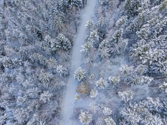 IMAGO Creative, Winter, Auf dem Land Verschneiter Pfad durch einen dichten, winterlichen Wald, Bad Wildbad, Landkreis Calw, Schwarzwald, Deutschland, Europa Snowy path through a dense, wintry forest, Bad Wildbad, district of Calw, Black Forest, Germany, Europe Copyright: imageBROKER ManuelxKamuf ibxmlk12047862.jpg
