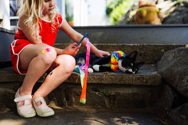 Creative Highlights Symbolbilder Girl playing with her cat on steps Marblehead, Massachusetts, United States CR_NYHM250111-1625778-01 ,model released, Symbolfoto