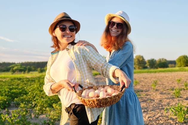 Agriculture, farming organic eco products. Women mother and daughter with basket of eggs, lifestyle, nature, garden, sunset, country side background, model released, , 47333912.jpg, egg, organic, farm, woman, farming, basket, protein, food, agriculture, fresh, chicken, raw, ingredient, healthy, farmer, natural, nature, rural, female, showing, holding, standing, country, white, straw, family, mother, daughter, hat, mom, day, lifestyle, garden, background, countryside, outdoor, caucasian, easter, smiling, rustic, presenting, group, nutrition, diet, country living, happy, women, spring, eco, outside RECORD DATE NOT STATED