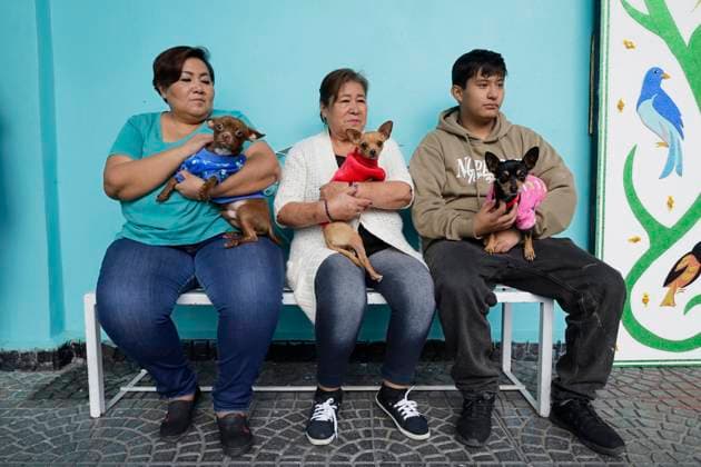 Mexico City Residents Bless Their Pets On The Occasion Of Saint Anthony The Abbot s Day Residents of the southern end of Mexico City, Mexico, attend a parish to bless their pets on the occasion of Saint Anthony the Abbot s Day, patron saint of animals, on January 17, 2025. Mexico City Mexico  Copyright: xGerardoxVieyrax originalFilename: vieyra-notitle250117_np1xJ.jpg