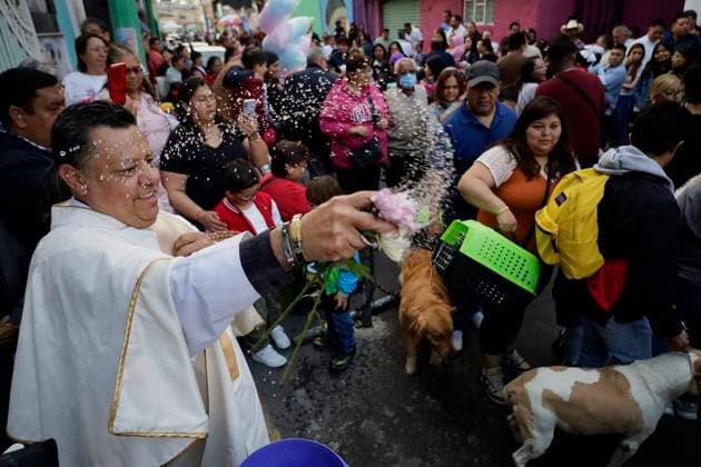 Mexico City Residents Bless Their Pets On The Occasion Of Saint Anthony The Abbot s Day A priest outside a parish blesses the pets of residents of the southern end of Mexico City, Mexico, on January 17, 2025, on the occasion of Saint Anthony the Abbot s Day, the patron saint of animals. Mexico City Mexico  Copyright: xGerardoxVieyrax originalFilename: vieyra-notitle250117_npMxb.jpg