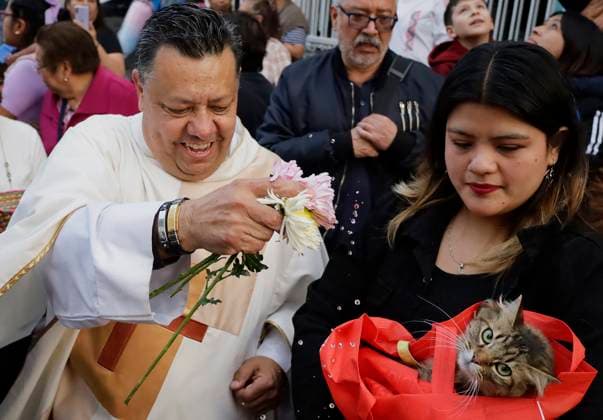 Mexico City Residents Bless Their Pets On The Occasion Of Saint Anthony The Abbot s Day A priest outside a parish blesses the pets of residents of the southern end of Mexico City, Mexico, on January 17, 2025, on the occasion of Saint Anthony the Abbot s Day, the patron saint of animals. Mexico City Mexico  Copyright: xGerardoxVieyrax originalFilename: vieyra-notitle250117_npqTk.jpg