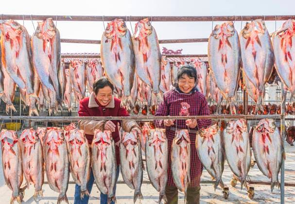 Bilder des Jahres 2025, News 01 Januar News Themen der Woche KW03 Aquatic Product Processing Base in Suqian SUQIAN, CHINA - JANUARY 19, 2025 - Workers dry cured fish at a aquatic product processing base in Suqian, Jiangsu province, China, Jan 19, 2025. Suqian Jiangsu China  Copyright: xCFOTOx i1737268302066