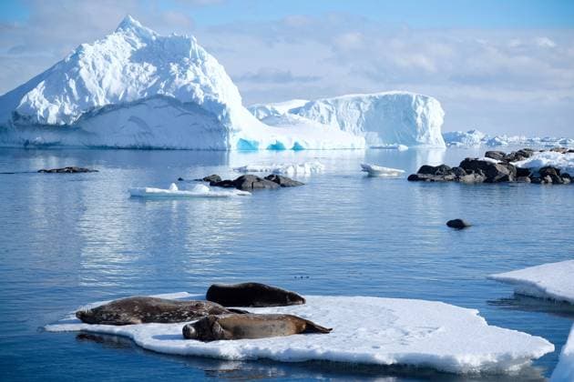 Hard-up Brits can earn over £50,000Öbut they have to move to Antarctica Story from Jam Press (Antarctica Jobs) Pictured: Antarctica. Hard-up Brits can earn over £50,000Öbut they have to move to Antarctica Hard-up Brits can earn over £50,000 by applying for a range of new jobsÖbut they have to move to Antarctica. The roles are currently up for grabs at the most southerly location on Earth. British Antarctic Survey (BAS), is looking for people to work at its research stations. Carpenters, chefs, electricians, plumbers, boating officers, plant operators and more are encouraged to apply for a job that offers the opportunity of a lifetime. Successful applicants will contribute to science which is critical for understanding our changing wo  Copyright: xJamxPress BAS