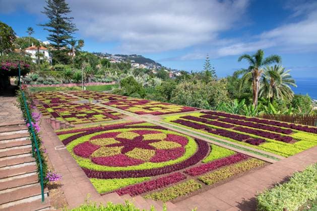Botanischer Garten Funchal, rote und gruene Beete bilden Muster, Madeira, Funchal Funchal Botanical Garden, red and green beds form patterns, Madeira, Funchal BLWS720157 *** Botanist Garden Funchal, red and green Beds form Pattern, Madeira, Funchal Funchal Botanical Garden, Red and Green Beds Form patterns, Madeira, Funchal BLWS720157 Copyright: xblickwinkel M.xWoikex