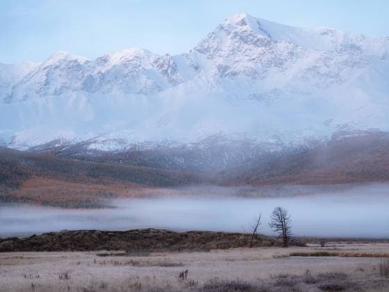 Schöne Naturszene im frühherbstlichen Gebirge. Beautiful nature scene in early autumn mountains. Foggy sunrise on the Dzhangyskol lake, Travel and winter vacation background. Copyright: xZoonar.com StanislavxSablinx 22675305