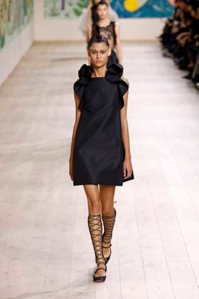Paris Fashion Week, Christian Dior Modenschau Christian Dior Haute Couture - Spring Summer 2025 - Paris, January 2025 Christian Dior Haute Couture - Spring Summer 2025 - Paris, January 2025, Credit:Zeppelin Avalon  Copyright: xZeppelinx xAvalonx 0958074596