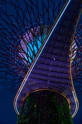 Creative Highlights World Supertree Grove Baldachin beleuchtet den Nachthimmel in Singapur Low angle view of the futuristic supertree grove illuminated at night, showcasing vibrant colors and intricate design Copyright: xZoonar.com CHINxLEONGxTEOHx 22702290