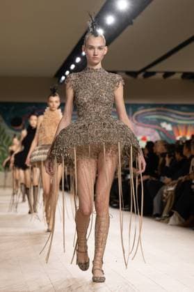 PFW - Christian Dior Runway A model walks the runway during the Christian Dior show during Paris Fashion Week Haute Couture Spring-Summer 2025 on January 27, 2025 in Paris, France. Photo by Laurent Zabulon ABACAPRESS.COM Paris France  Copyright: xZabulonxLaurent ABACAx