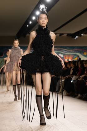 PFW - Christian Dior Runway A model walks the runway during the Christian Dior show during Paris Fashion Week Haute Couture Spring-Summer 2025 on January 27, 2025 in Paris, France. Photo by Laurent Zabulon ABACAPRESS.COM Paris France  Copyright: xZabulonxLaurent ABACAx