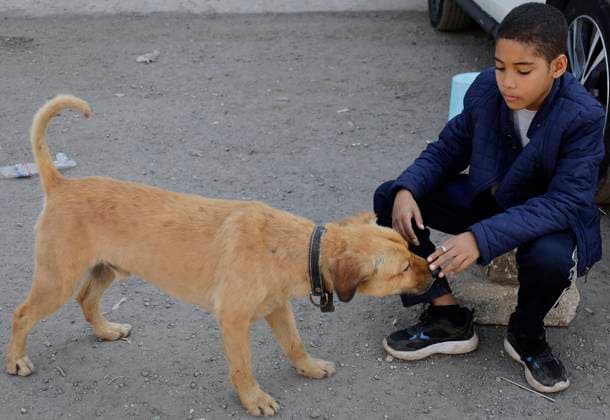 Facilities Of The Mexican Commission For Refugee Assistance In Mexico, Saturated By Mass Deportation After The Return Of Donald Trump To The Presidency Of The United States A migrant child and his dog wait outside the facilities of the Mexican Commission for Refugee Assistance in the State of Mexico, Mexico, on January 28, 2025, for an appointment to apply for a Visitor Card for Humanitarian Reasons to access health services and employment opportunities in Mexico. They are being assisted because they report that the CBP One application has stopped working, which, through an appointment, would allow them possible migratory flow to the United States and reduce the possibility of organized crime affecting their movement, among other challe  Copyright: xGerardoxVieyrax originalFilename: vieyra-notitle250128_npvyG.jpg