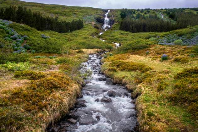 Creative Highlights World June 18, 2024, Kejimkujik National Park, Nova Scotia, Canada: Tungudalur waterfall, Isafjordur, the largest settlement in the West Fjords. Iceland, West Fjords (Westfjords). BunoÂ¡rfoss is a waterfall situated on the slopes along the beautiful Tungudalur valley, and it s BunoÂ¡rfoss that truly enhances the beauty of Tungudalur valley. Blue Alaskan lupins (lupinus nootkatensis) cover vast swathes of Iceland. Kejimkujik National Park Canada - ZUMAr133 20240618_zap_r133_008 Copyright: xSergixReboredox